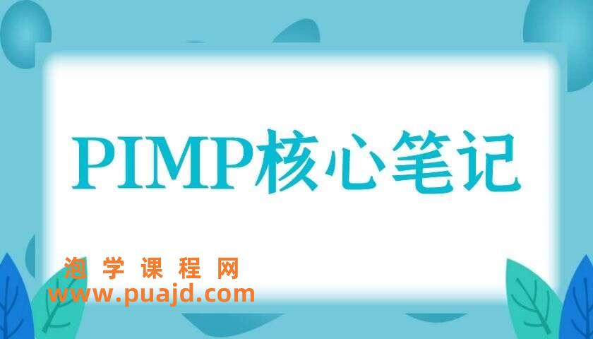 PIMP核心笔记